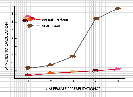 Coolidge Phello ea graph