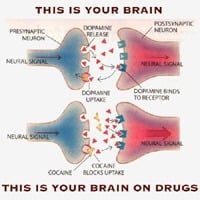 La adicción a la pornografía cambia el cerebro.