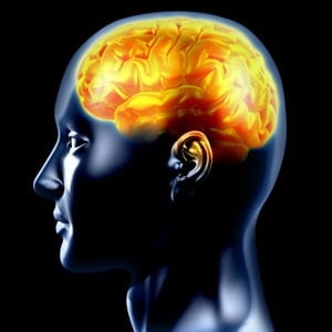 Porn addiction and the brain