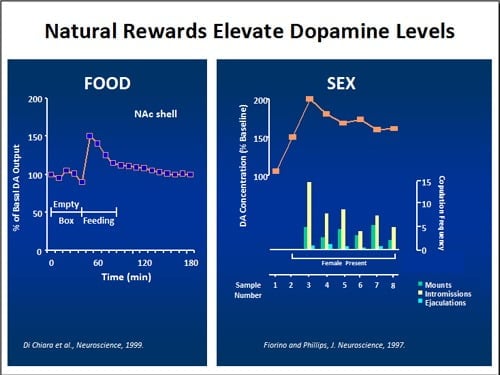 Ang lebel sa dopamine agig tubag sa pagkaon ug sekso